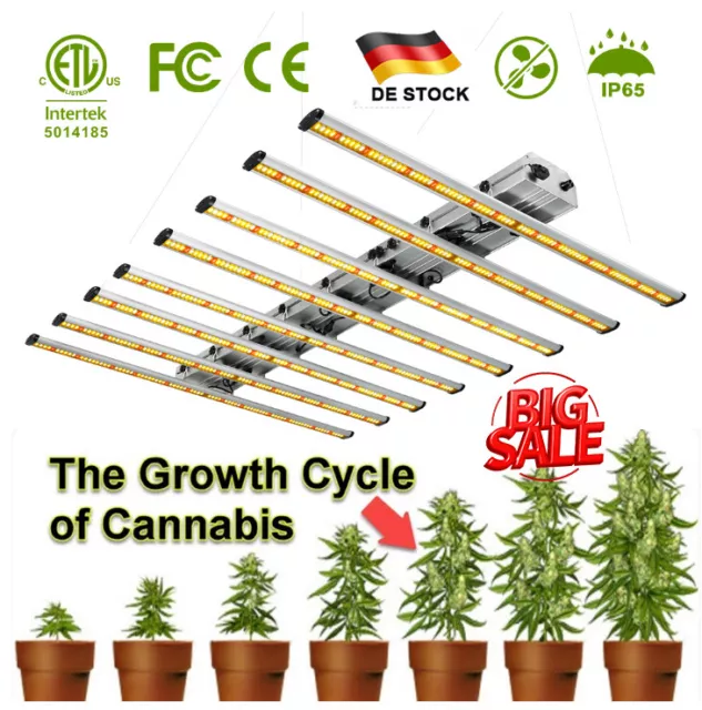 800W Dimmbare LED Grow Lights Full Spectrum LM281B 6X6ft Grow Lampe Hydroponics