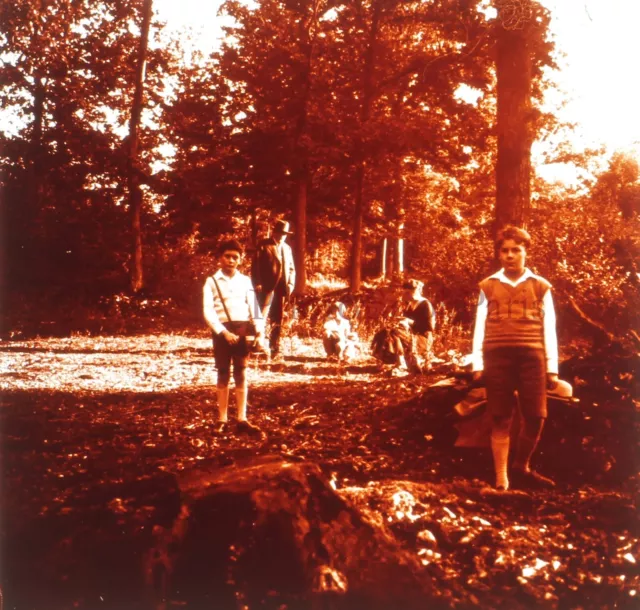 Family Landscape c1930 Photo Stereo Glass Plate Vintage V33L18n13