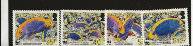 Ascension 2007 Angelfish set of 4 sg.962-5  MNH