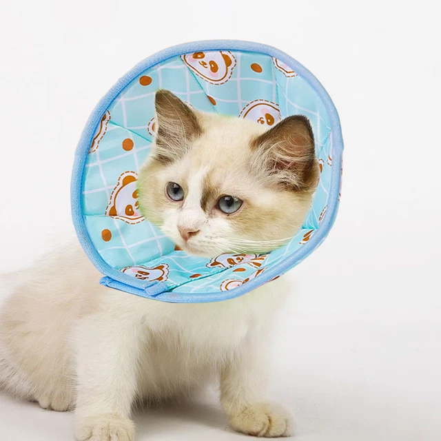 Adorable protector antimordeduras con dibujo animado conejo mascota perro gato collar