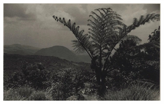 Tirage Vintage 1952 – Vue Aérienne Côte Est Taïwan – Photo Henri