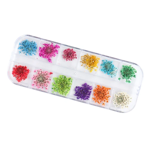 Nail Art Fiori Essiccati Colorati Squisite Decalcomanie Conservate Gypsophila