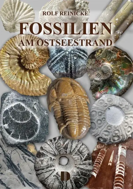 Fossilien am Ostseestrand | Rolf Reinicke | Taschenbuch | 80 S. | Deutsch | 2020