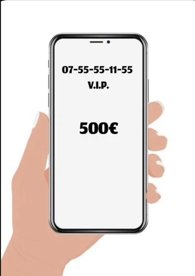 Numéro De Mobile VIP Facile à Retenir : 06 56 69 69 56 - Valable 300-365 Jours - Rechargeable