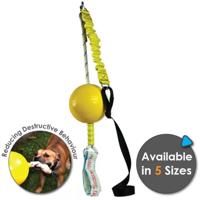 [5 Sizes] Aussie Dog Home Alone Pet Interactive Play Dog Toy Ball Food dispenser 2