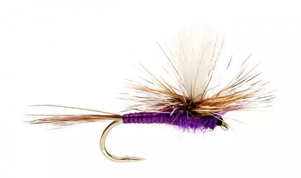 10 Adam's Purple Parachute  Trout  Fishing  Flies