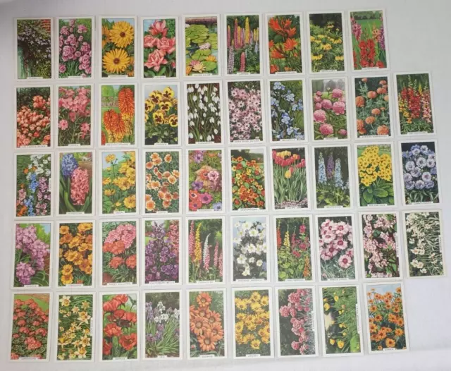 Gallaher Ltd Cigarette Cards Garden Flowers Complete Set