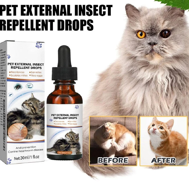 Picture of 10 Best Flea Shampoos for Cats - Safe, Effective & Vet-Approved (2026 ...