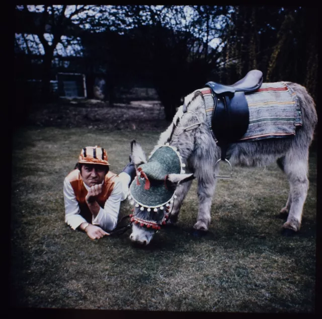 DONKEY AND A JOCKEY C1950 VINTAGE Magic Lantern Slide PHOTOGRAPH