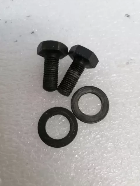 Campagnolo crankset screws - viti guarnitura campagnolo