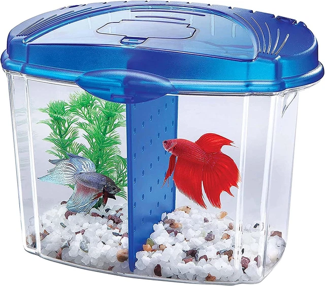 DOUBLE BETTA BOW Aquarium 2 SECTION Small Fish Shrimp Acrylic 1 Gal Tank BLUE