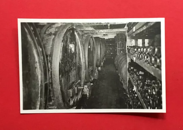 Foto AK MEISSEN Spaar um 1930 Umlauft´s Weinstuben Weingrosshandlung ( 58666