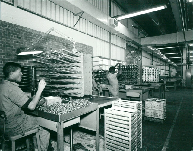 SKF Foreign Factory Company. - Vintage Photograph 2517013