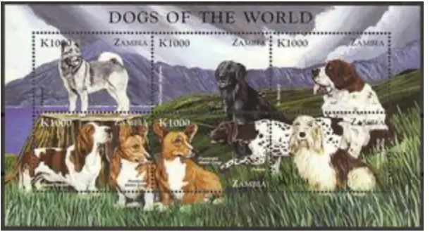 Zambia #Mi989-Mi994 MNH M/S 1999 Dogs Hound Bernard Basset Corgi [809]