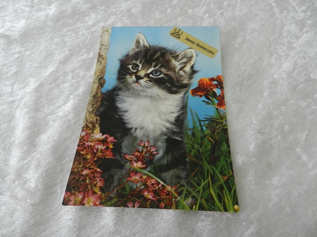 CPSM Happy Birthday Postcard / Cat & Flowers