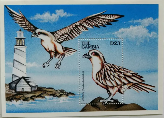 128.GAMBIA (D23) Briefmarke M/S Vögel (Osprey) . MNH