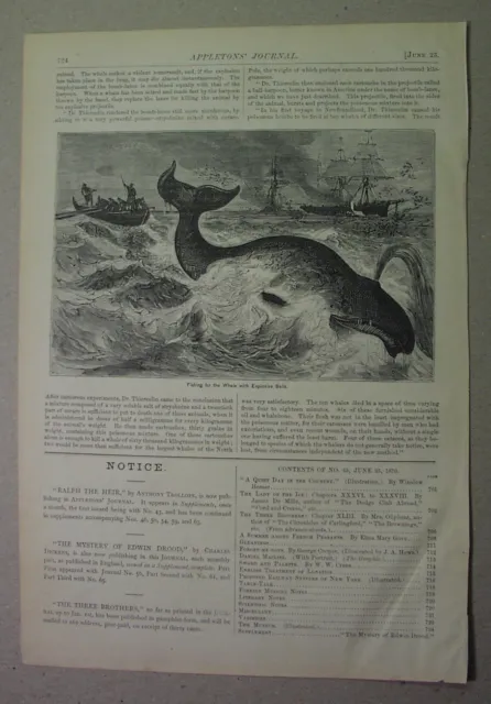 1870 WHALING SCENE: hunting with the bomb-lance, used with harpoons