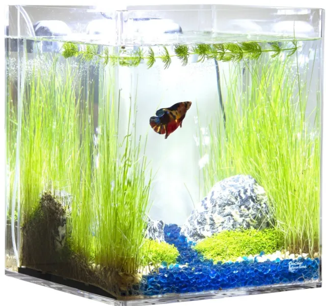 5 Gallon Self-Cleaning Aquarium Kit With LED Light - No More Messy Water Changes