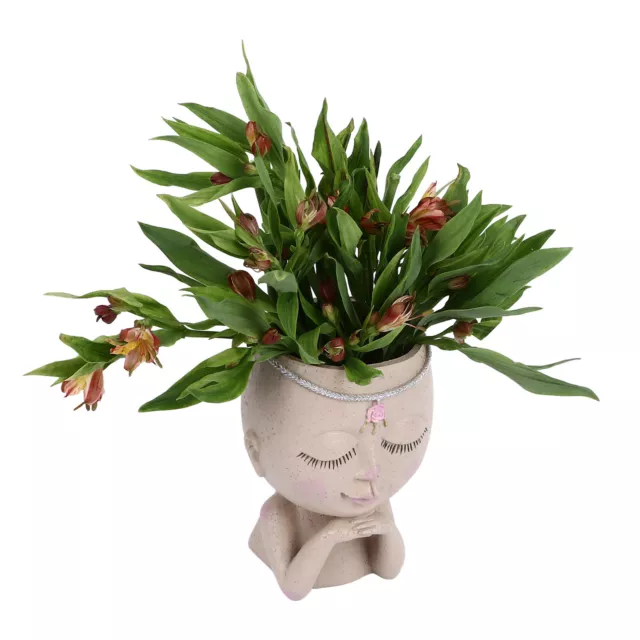 HG Face Flower Pot Head Planter Pot Succulent Planter Cute Resin Cactus Plant EC