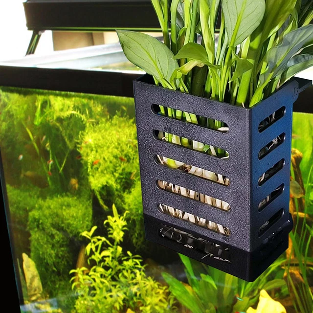 Aquarium Hanging Aquatic Plant Holder With Hooks And Suction Cups For Fish Tank