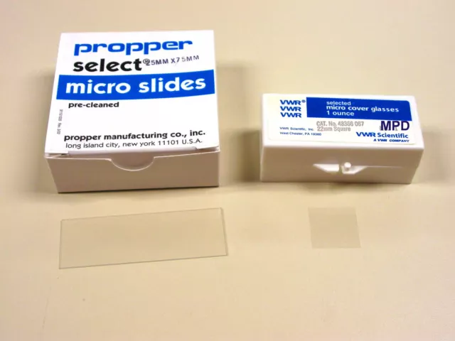 72 Blank Plain Microscope Slides PLUS 100 Glass Cover Slips 22 X 22mm