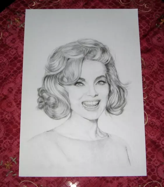 Disegno Matita E Carboncino 33X48 - Virna Lisi - Bellissima!