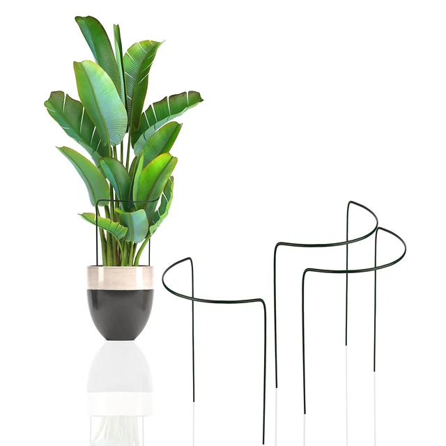 Pflanzenstützen rund Strauch Blumenhalter Stauden Rankhilfe Stäbe 50/70/100cm