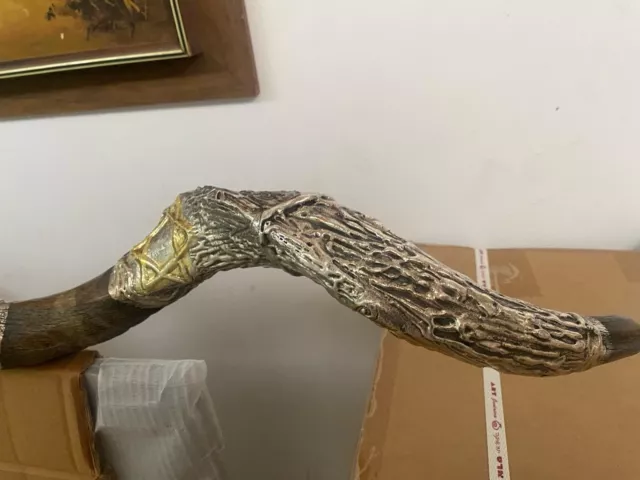 A Huge BIG Kudu Horn Shofar 67" Sterling Silver Plated Polished Yemenite 168cm 2