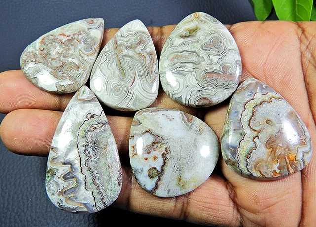 6 Pcs Natural Crazy Lace agate Pear Cabochon Loose Gemstone Lot 296 Cts. N995