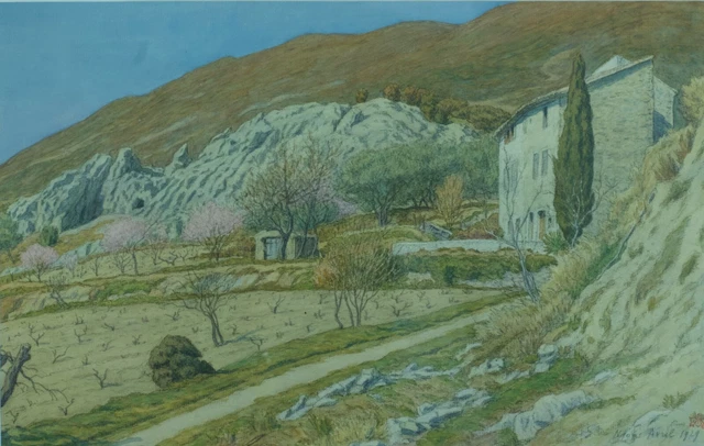BEAU ET ANCIEN Dessins Mine Crayon XIXÈME Nature Arbre Cassé Après La