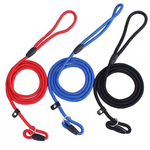 Strong Nylon Slip On Rope Dog Puppy Pet Training Lead Leash No Collar Needed