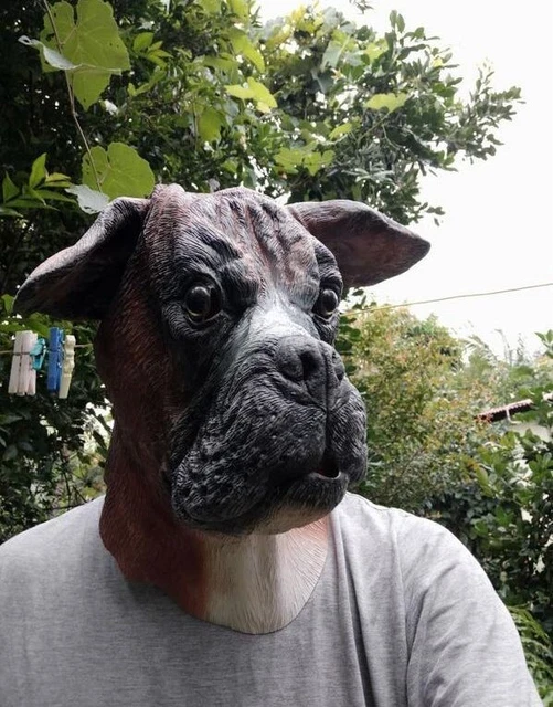 Déguisement masque chien