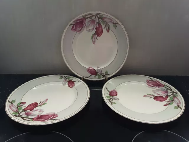 3 Vintage Myott Staffordshire MAGNOLIA Dinner Pates 25cm GVC