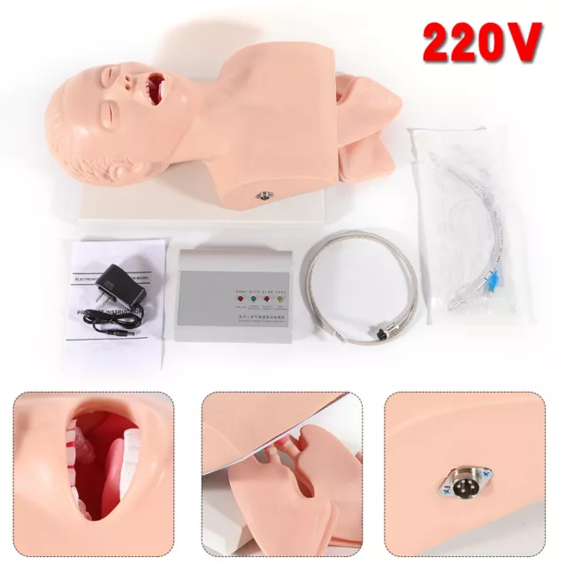 Adult Airway Management Trainer Model Lab Oral Intubation Manikin Study Teaching
