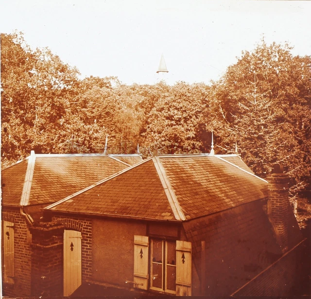 FRANCE Bois de Cise 1934 photo stereo glass plate vintage V25L6n