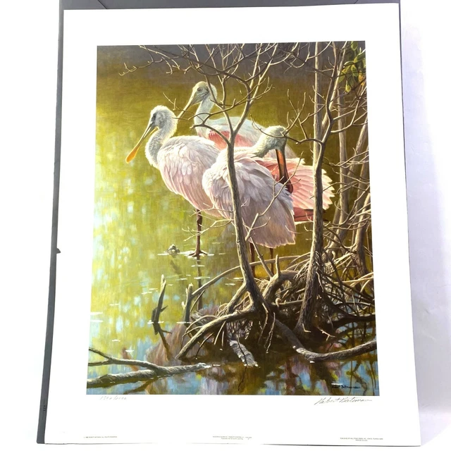 Robert Bateman Mangrove Morning Art Limited Edition Print Signed 30x24