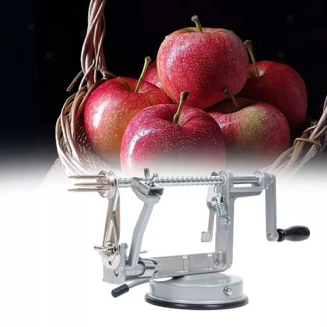Coupe pomme Réutilisable En Acier Inoxydable Trancheur De - Temu Canada