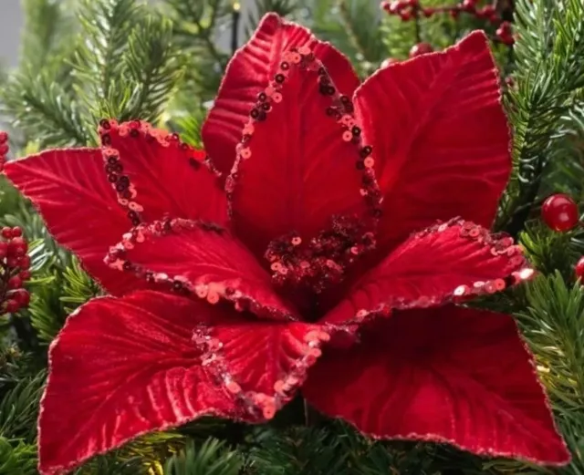 Christmas Luxury Poinsettia 30cm Red Stem 50cm
