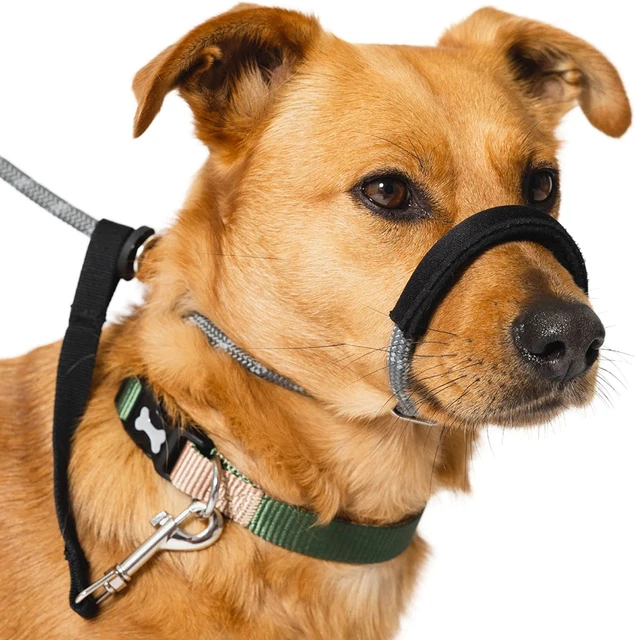 Total Pet Figur von 8 Hundeblei - Anti-Pull Stop Hunde ziehen - Seilrutschblei