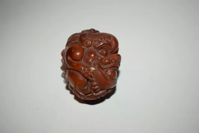 Netsuke, fauchender Shishi mit Ball, Material a.Kuhhorn,(bos indicus) sign.,50mm