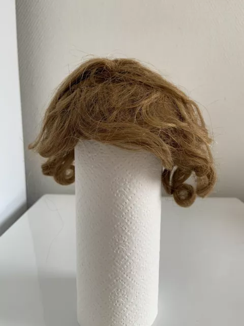 Belle Perruque Naturelle Pour Poupee Ancienne Jumeau, Bru, Steiner, Sfbj, T.10