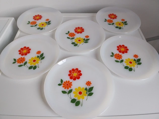 Lot De 6 Assiettes Plates Vintage En Verre Arcopal - Motif Fleurs Multicolores (Occasion)
