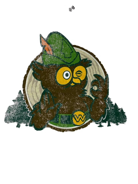 Woodsy The Owl Give A Hoot Don't Pollute Silver Distressed Look 2XL T-shirt