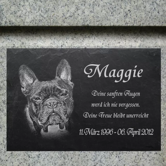 Bulldogge GRABSTEIN Tiergrabstein Grabmal Hunde Hund-024 ►Textgravur◄ 35 x 25 cm