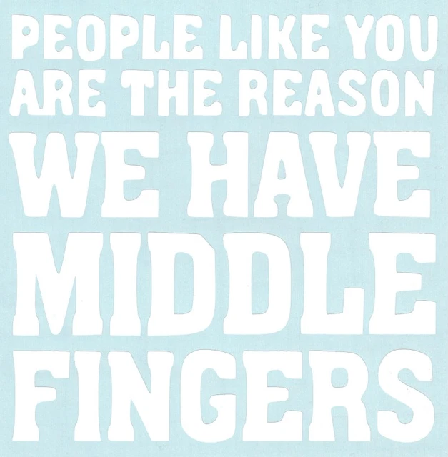 PEOPLE LIKE YOU Are The Reason.... funny Car Truck Suv vinyl sticker ...
