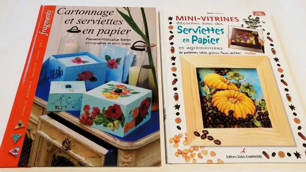 Lot de 2 livres collage de serviettes en papier, cartonnage et mini vitrines déc