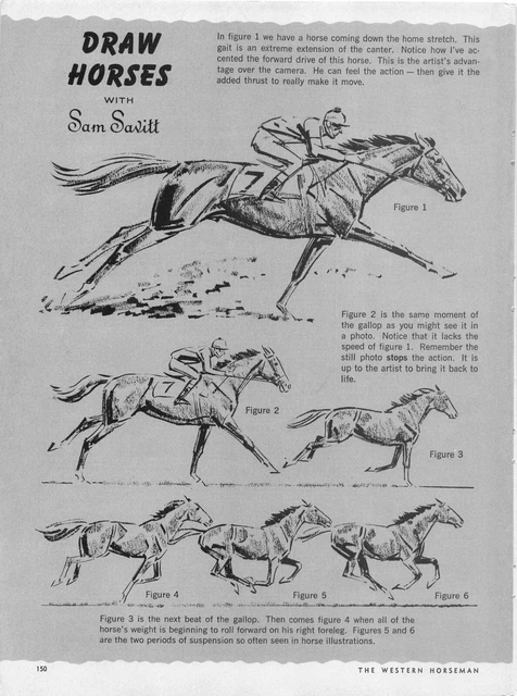 洋書 Draw horses with Sam Savitt Draw Horses with Sam Savitt: Savitt, Sam: 9780670282593
