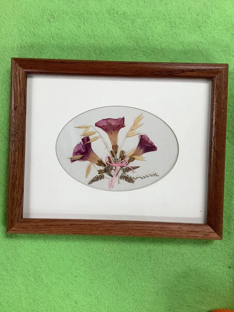 Hermosa Flor Seca Enmarcada Bajo Vidrio