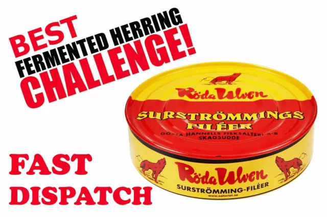 Surströmming SURSTROMMING HERRING CHALLENGE MANGIARE SCHERZO, festa di laurea