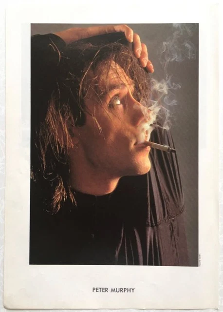 ＜Steven Alan＞ OVER SHIRT -LOOSE/シャツ Other Paper Collectibles, Paper, Collectibles - PicClick